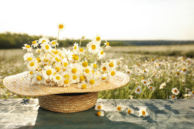 Photo of Straw hat with chamomiles on blue wooden table in field