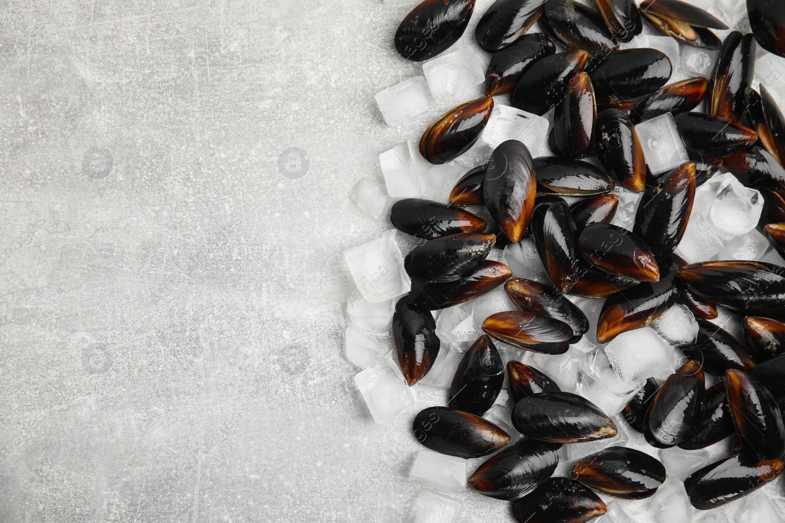 Photo of Raw mussels and ice on light table, flat lay. Space for text