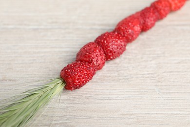 Photo of Grass stem with wild strawberries on white wooden table, closeup