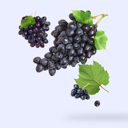 Fresh grapes and leaves in air on white background