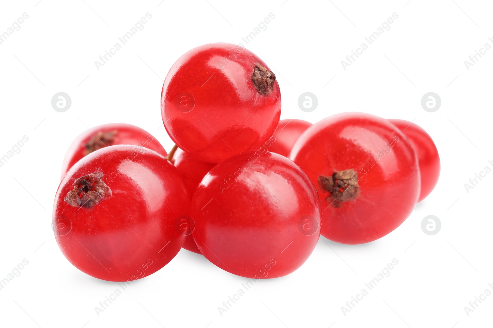 Photo of Many fresh ripe red currant berries isolated on white