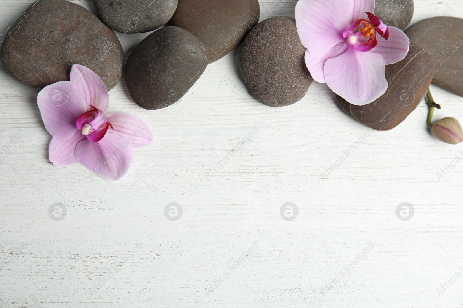 Photo of Stones with orchid flowers and space for text on white wooden background, flat lay. Zen lifestyle