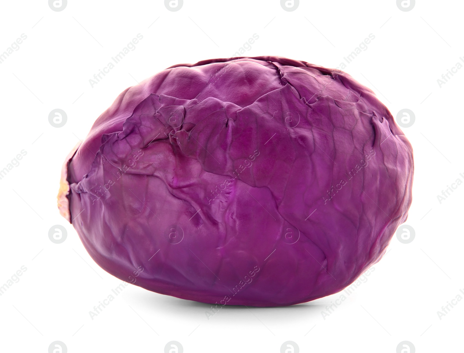 Photo of Whole ripe red cabbage on white background