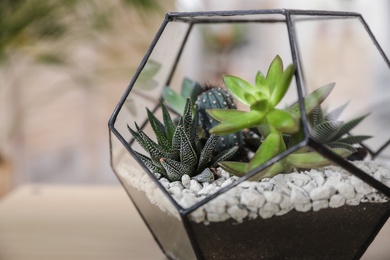 Succulents in florarium on table indoors, closeup. Trendy home interior with plants