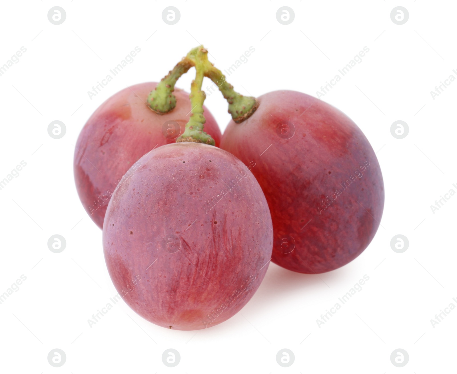 Photo of Tasty ripe red grapes isolated on white