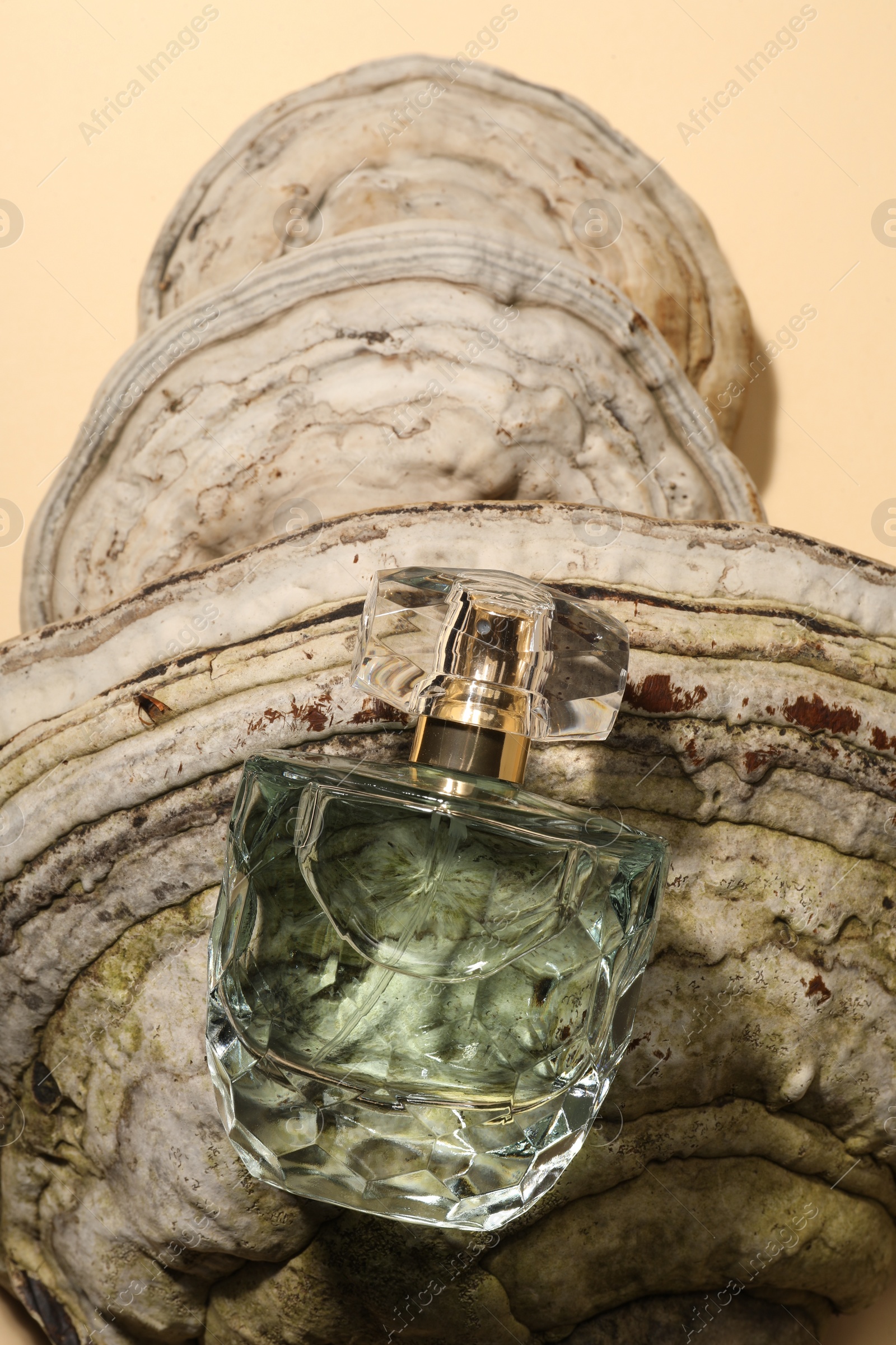 Photo of Luxury perfume in bottle and decorative element on beige background, top view