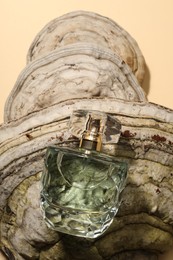 Luxury perfume in bottle and decorative element on beige background, top view