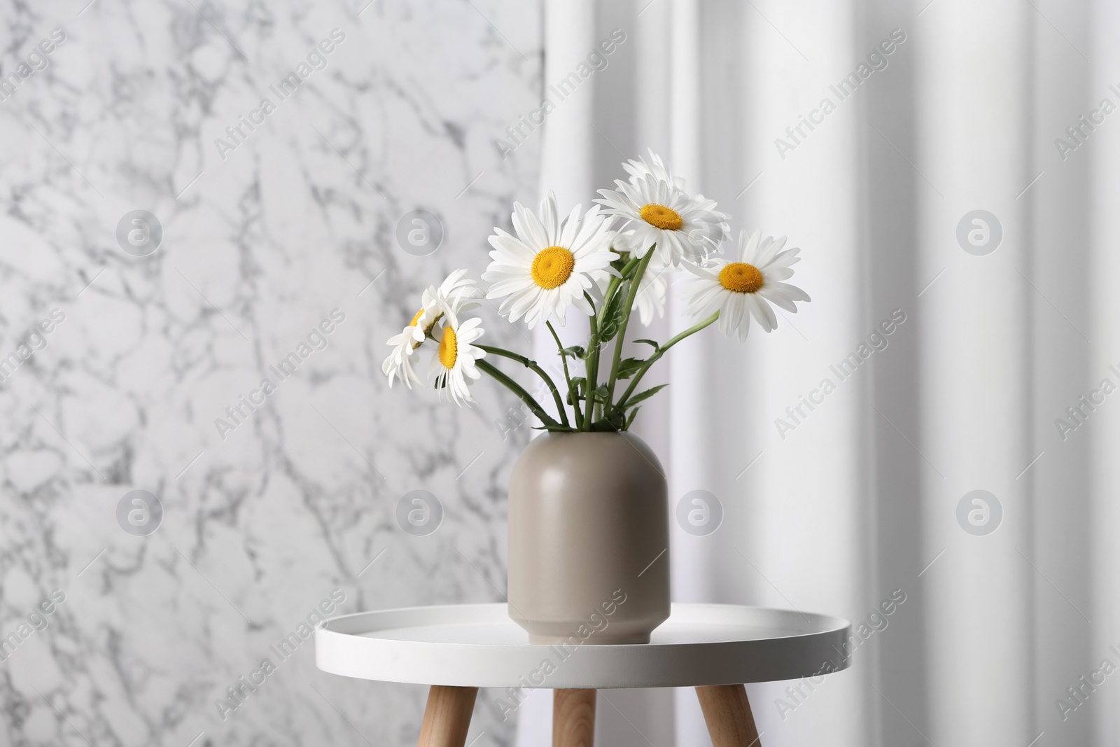 Photo of Beautiful tender chamomile flowers in vase on white table indoors