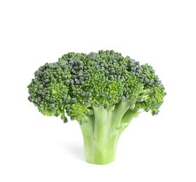 Fresh green raw broccoli on white background