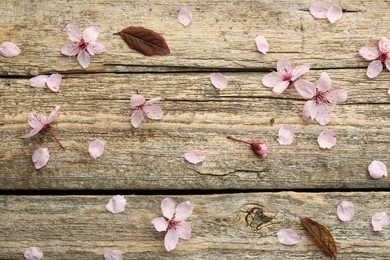 Spring blossoms, petals and leaves on wooden table, flat lay