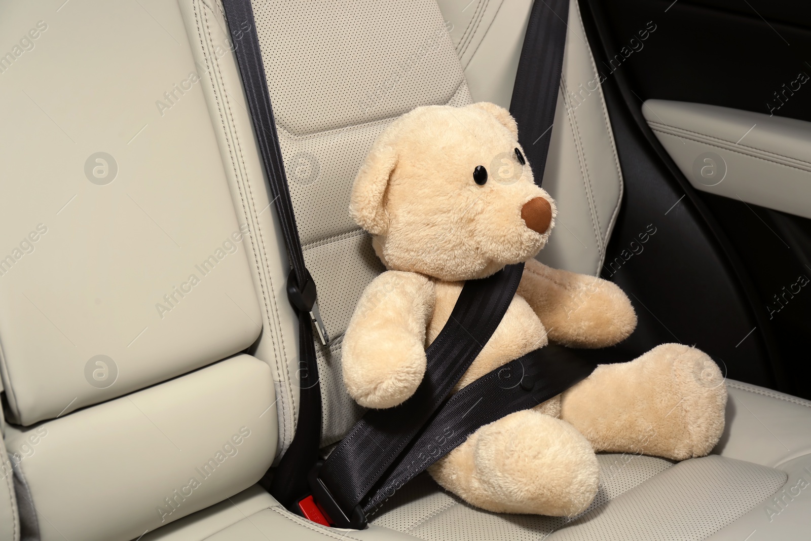 Photo of Cute stuffed toy bear buckled in backseat of car