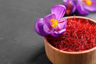 Dried saffron and crocus flower on grey table, closeup. Space for text