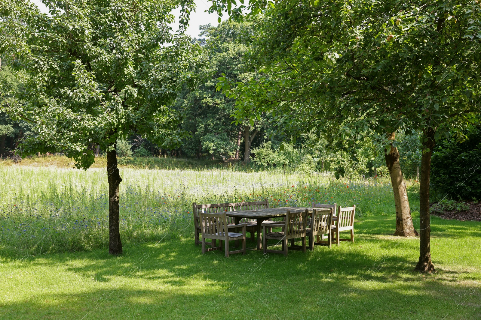 Photo of Empty wooden table with bench and chairs in garden