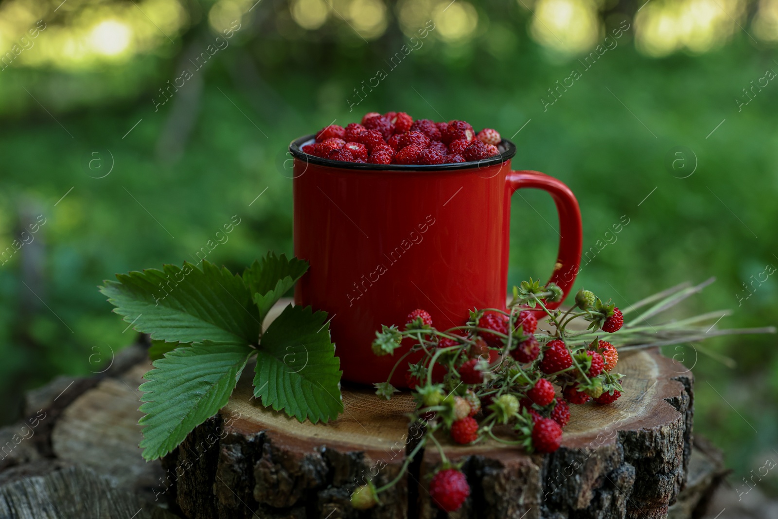 Photo of Mug, tasty wild strawberries and green leaves on stump against blurred background
