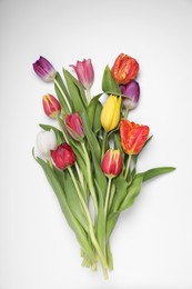 Photo of Beautiful colorful tulip flowers on white background, top view