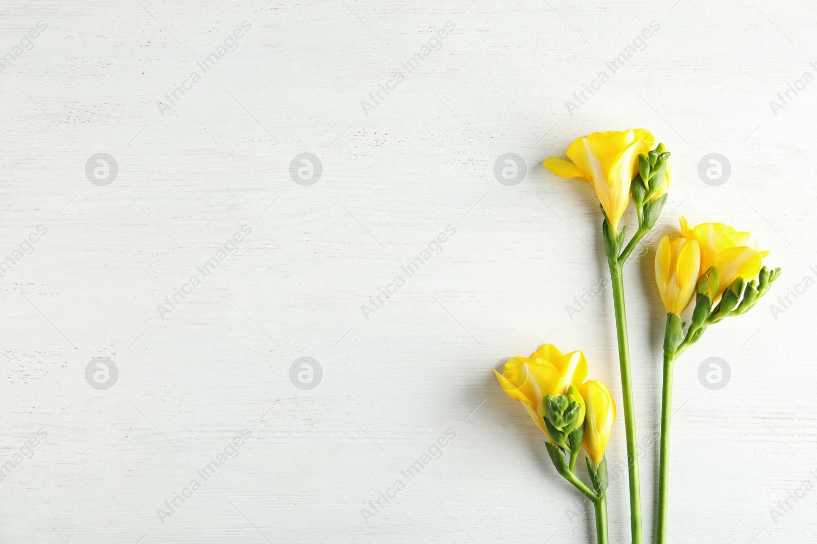 Photo of Beautiful fresh freesia flowers on wooden background, flat lay. Space for text