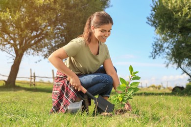Photo of Young woman planting tree in garden on sunny day