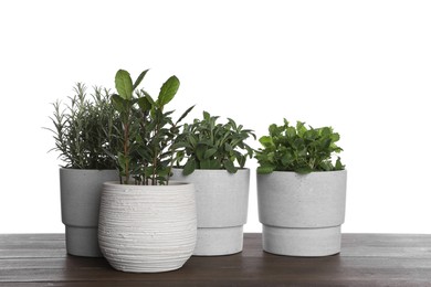 Pots with bay, sage, mint and rosemary on wooden table against white background