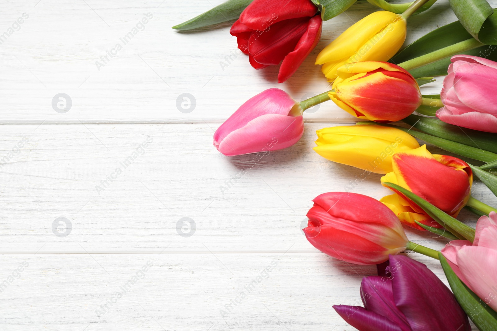 Photo of Beautiful spring tulips on white wooden table, flat lay. Space for text