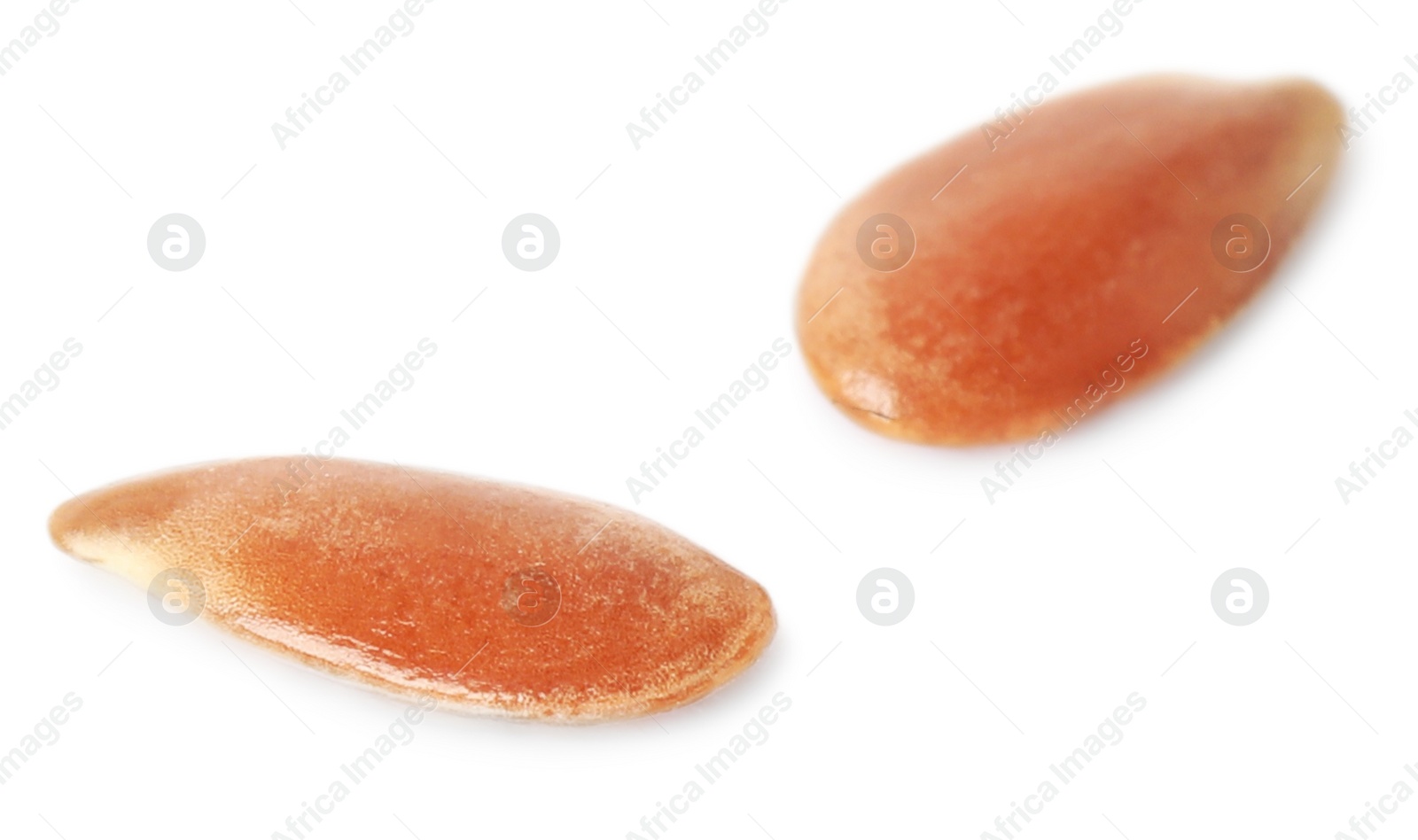 Photo of Two linseeds on white background. Vegetable planting