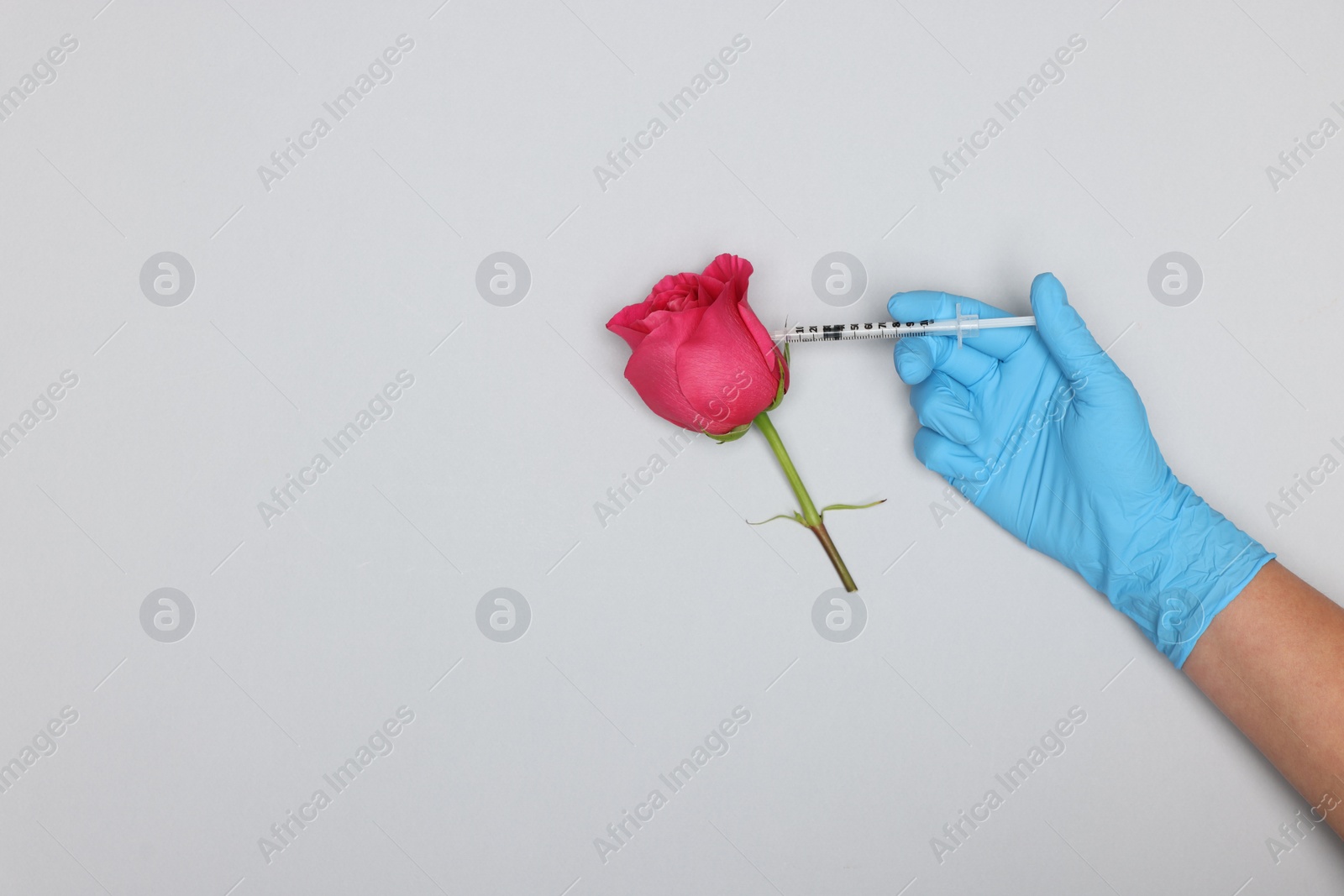 Photo of Doctor making injection to rose on light grey background, top view. Space for text