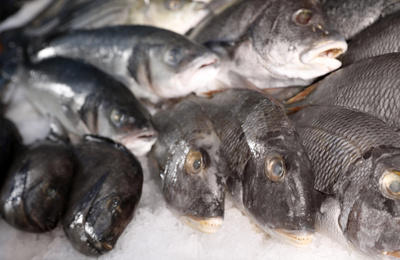 Different types of fresh fish on ice in supermarket, closeup