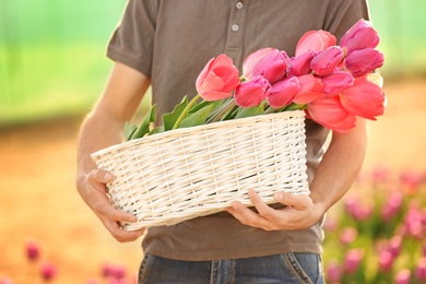 Photo of Man holding basket with blossoming tulips outdoors on sunny spring day