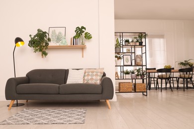 Modern living room interior with comfortable sofa and beautiful plants