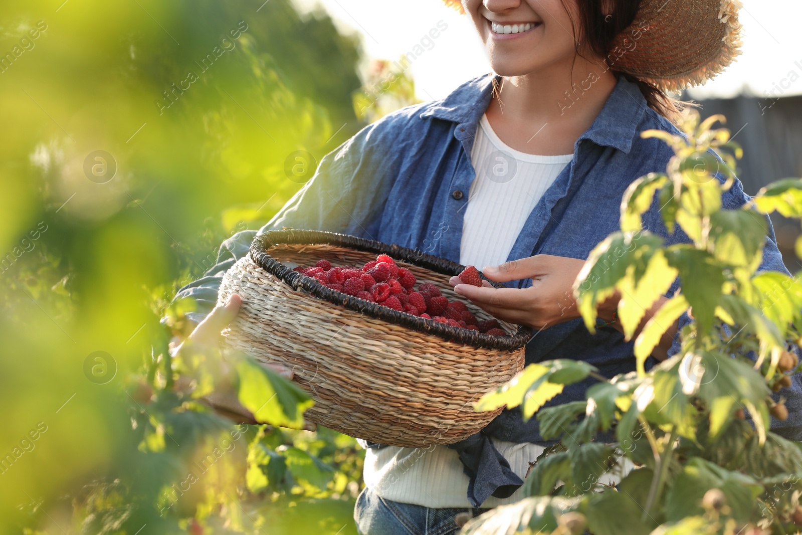 Photo of Woman holding wicker basket with ripe raspberries outdoors, closeup