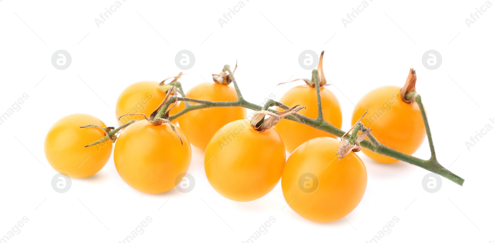 Photo of Branch of ripe yellow cherry tomatoes on white background