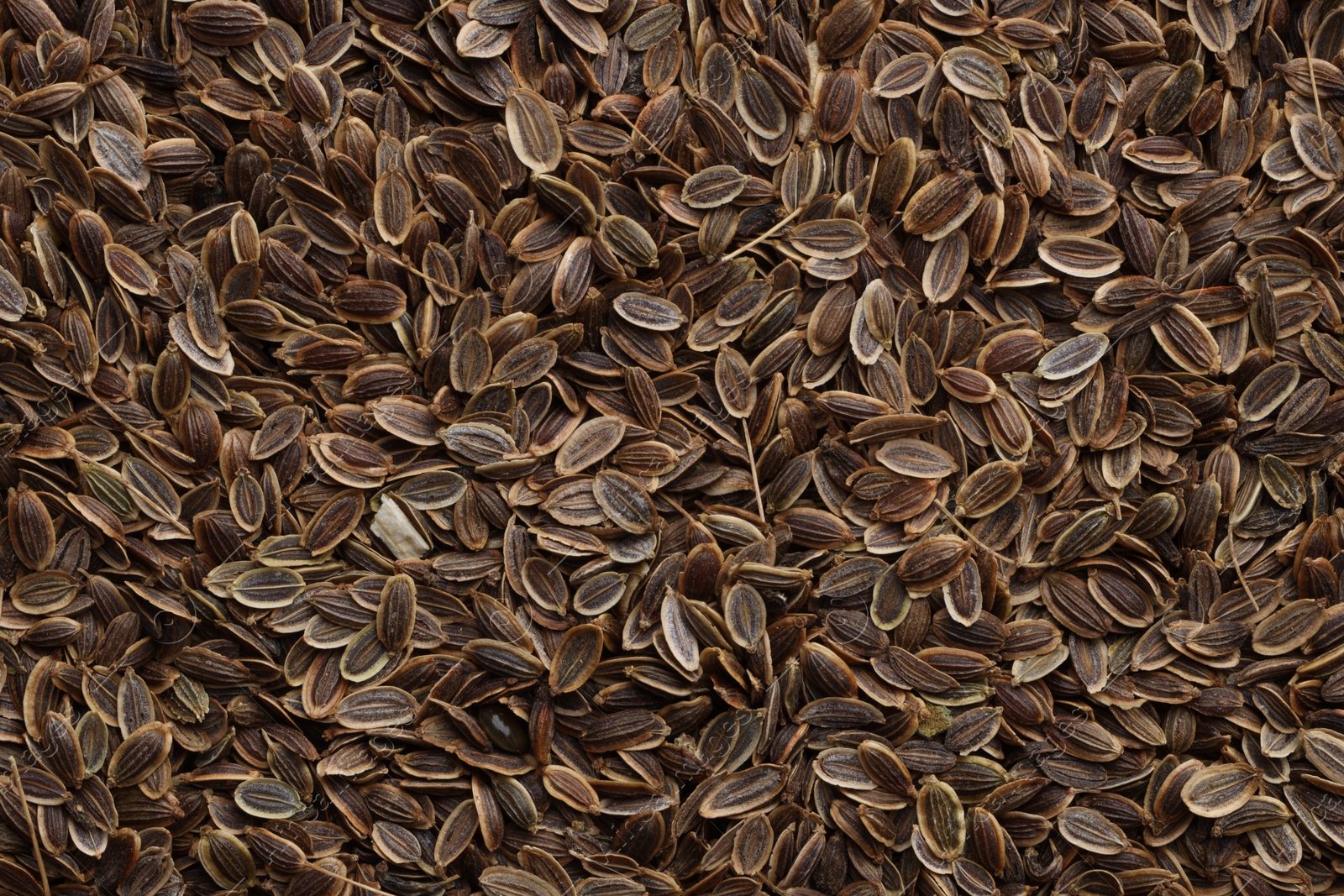 Photo of Many dry dill seeds as background, top view