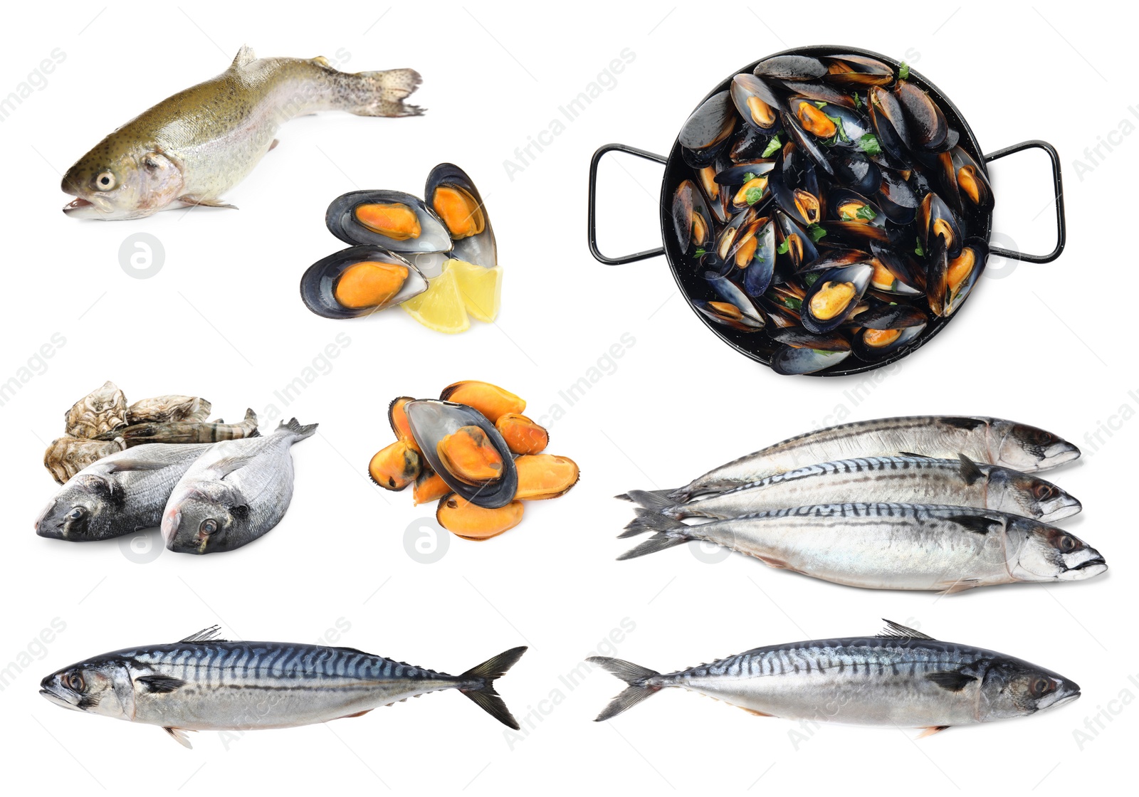 Image of Collage with different seafood on white background