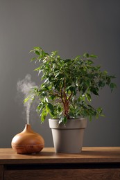 Photo of Air humidifier near houseplant on wooden table against grey wall