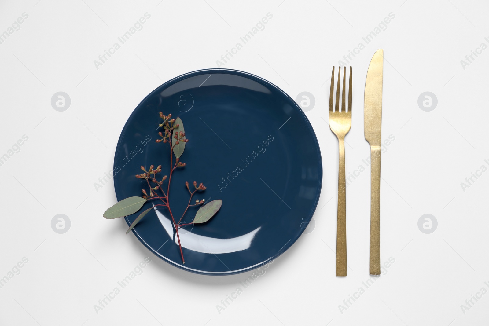 Photo of Stylish setting with cutlery and eucalyptus leaves on white background, top view