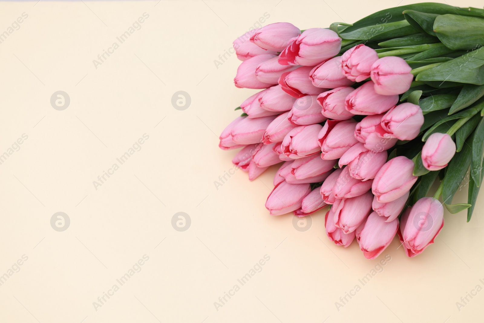 Photo of Bouquet of beautiful pink tulips on beige background, closeup. Space for text