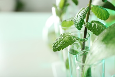 Photo of Green plants in test tubes on blurred background, closeup with space for text. Biological chemistry