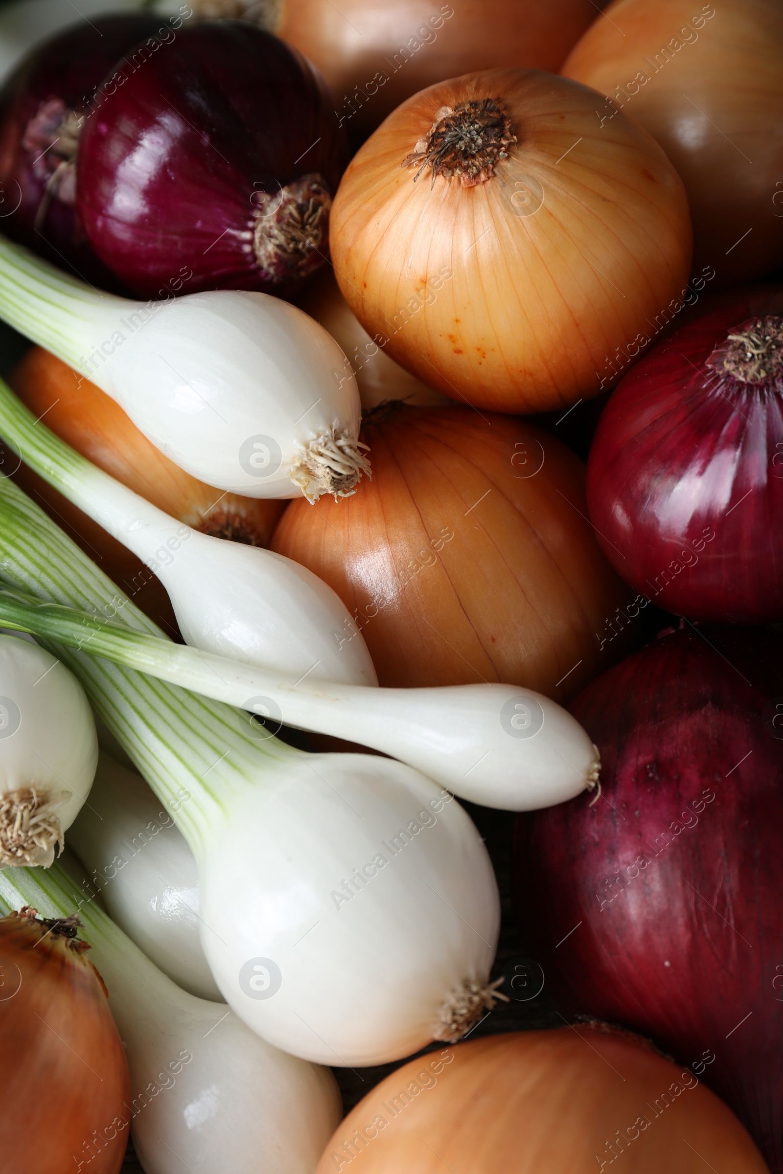 Photo of Different kinds of onions as background, top view