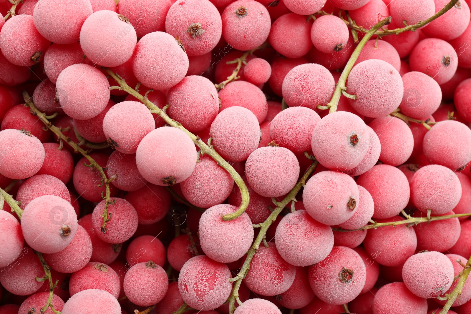 Photo of Tasty frozen red currants as background, top view