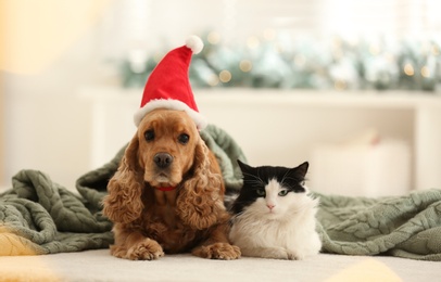 Photo of Adorable Cocker Spaniel dog in Santa hat and cat indoors