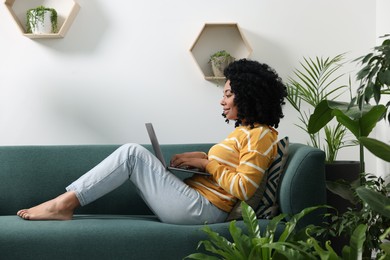 Photo of Relaxing atmosphere. Woman with laptop on sofa near houseplants in room