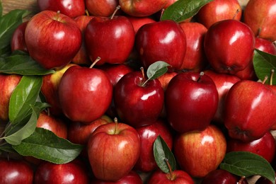 Photo of Fresh ripe red apples with leaves as background, top view