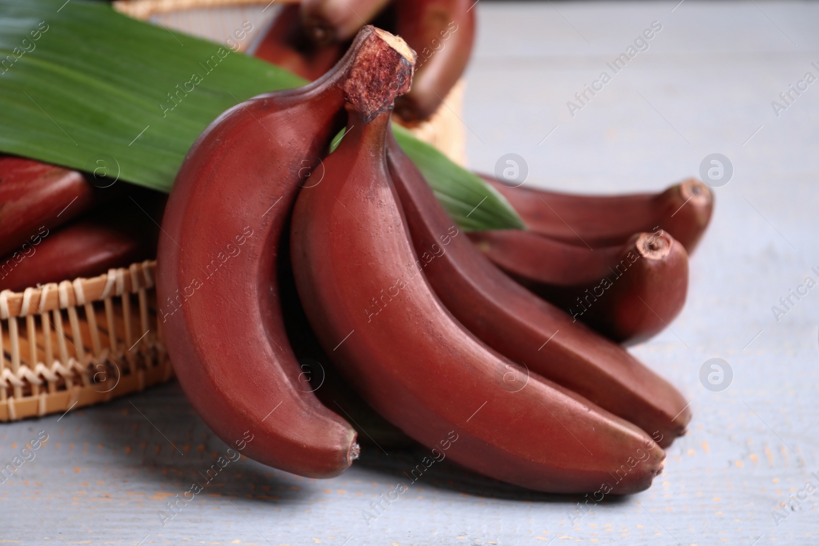 Photo of Tasty red baby bananas on grey table, closeup