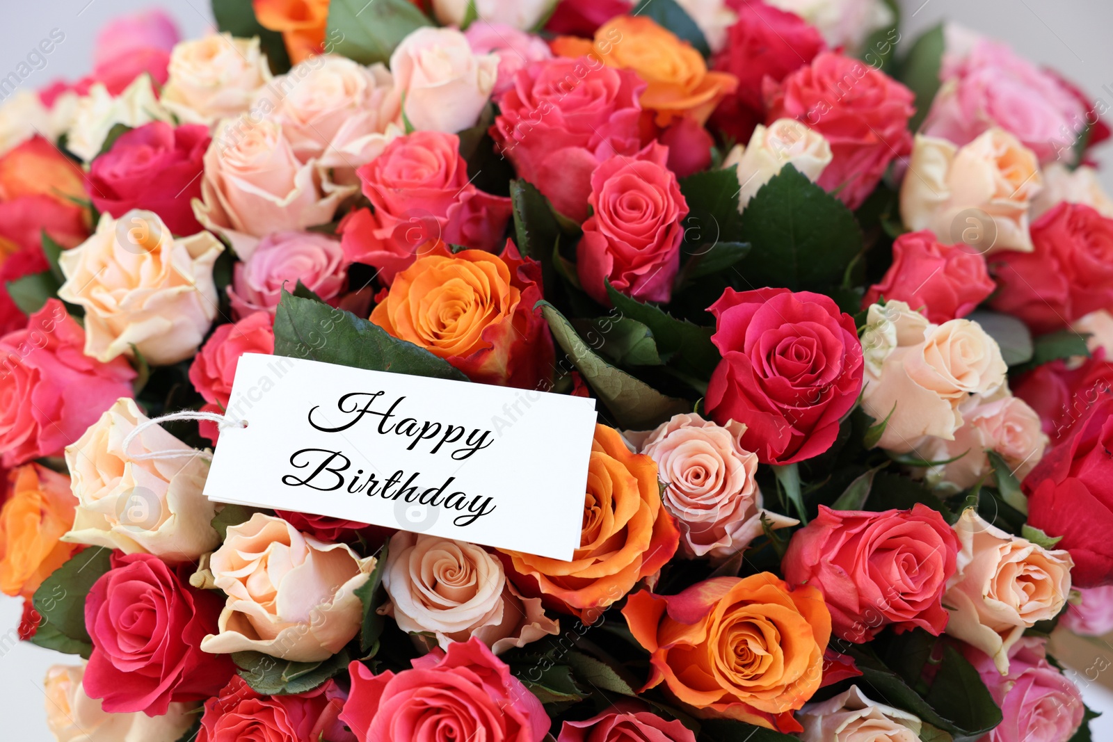 Image of Bouquet of beautiful roses with Happy Birthday card, closeup