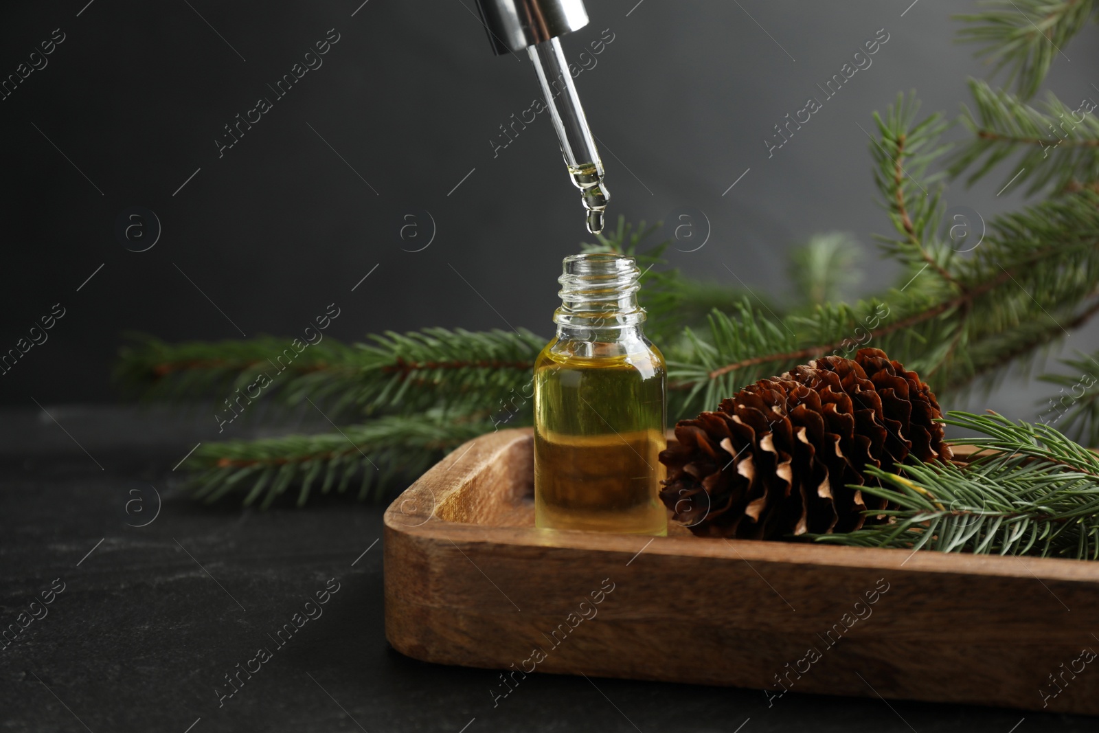 Photo of Pine essential oil, cone and branches on black table