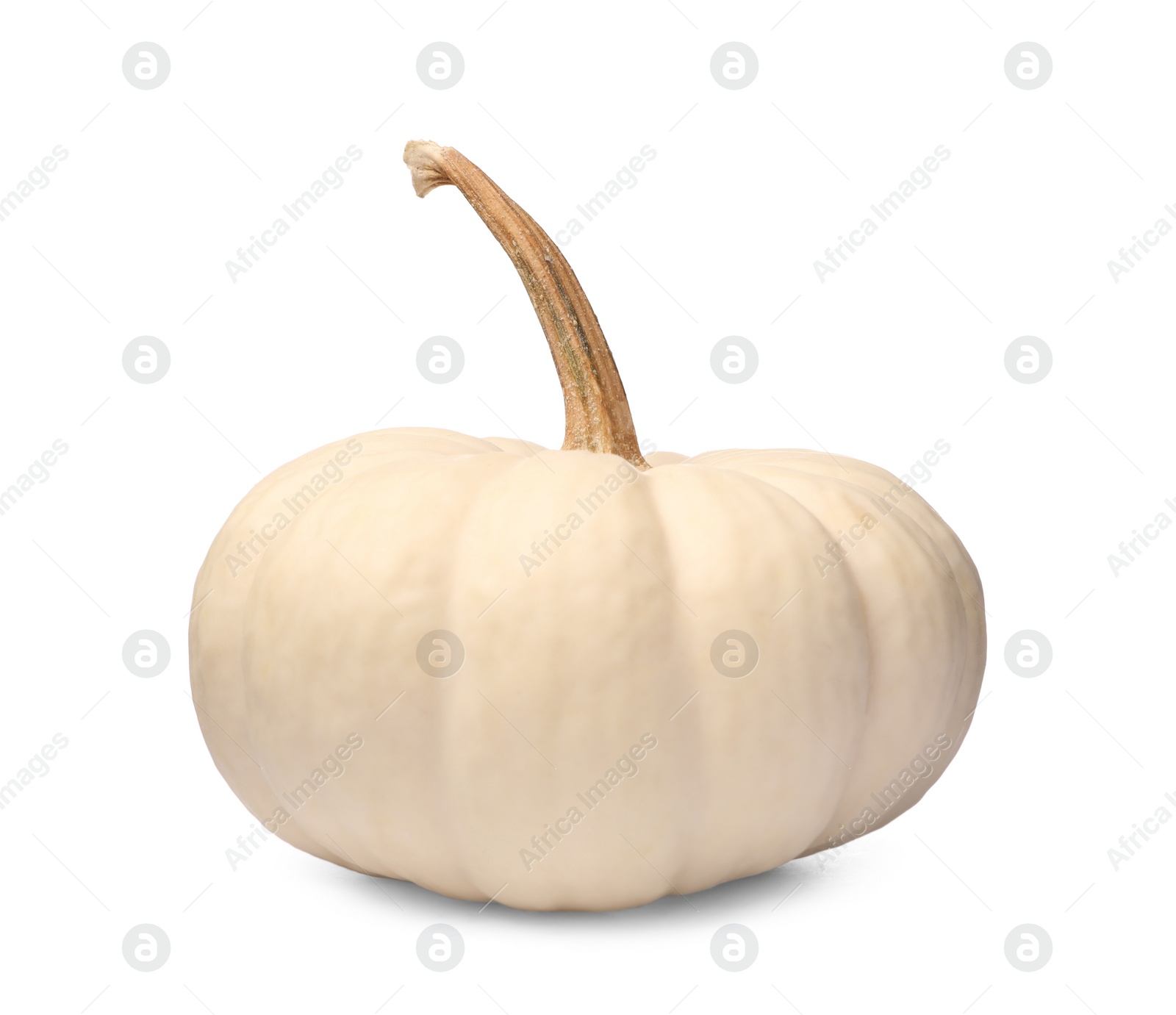 Photo of One whole ripe pumpkin isolated on white