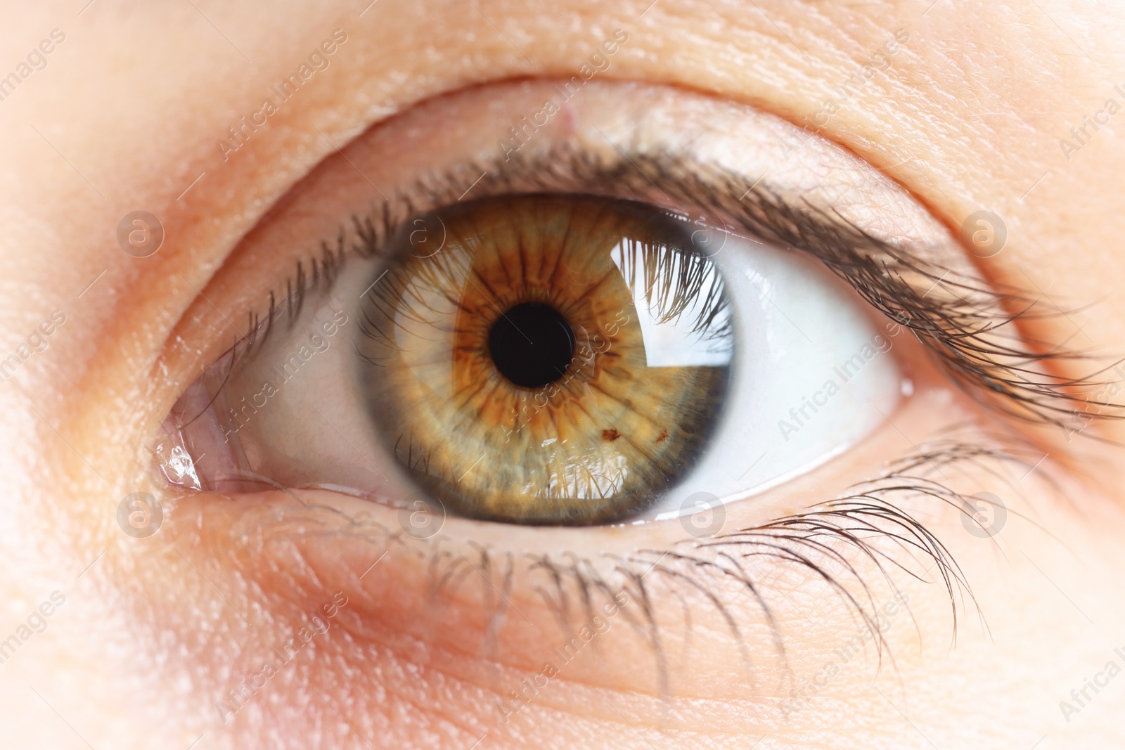 Photo of Macro photo of woman with beautiful eyes