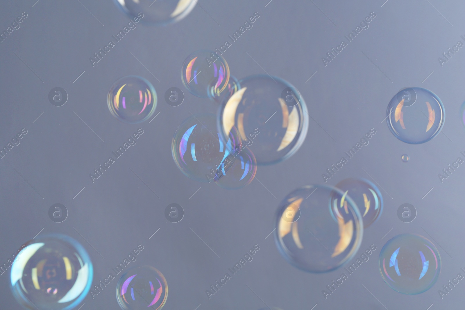 Photo of Beautiful transparent soap bubbles on gray background