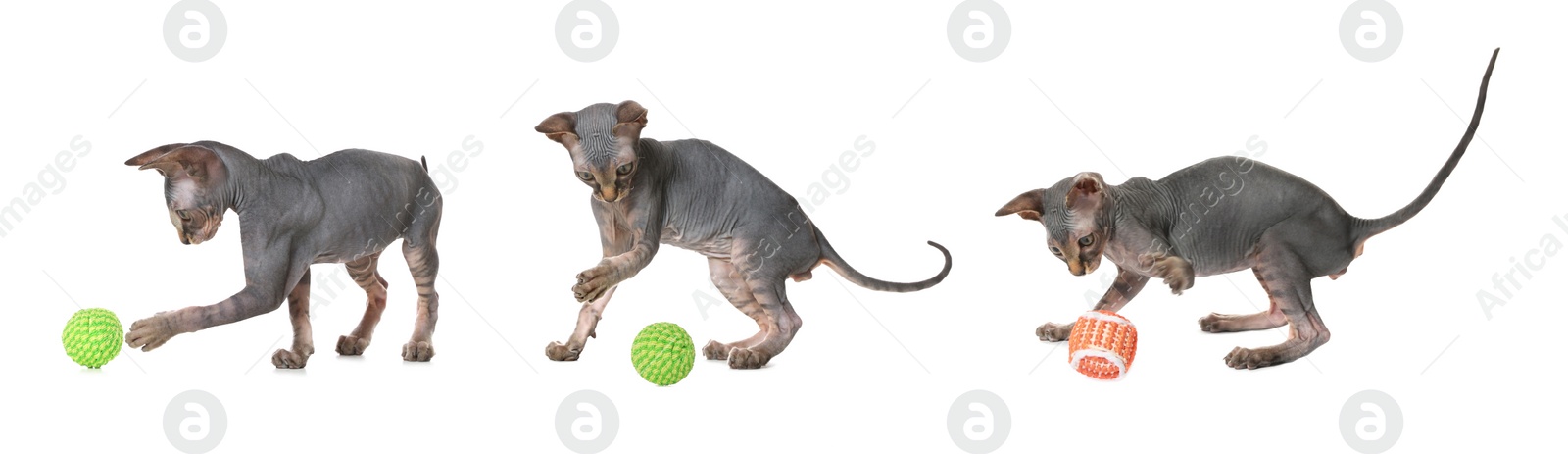 Image of Adorable kittens playing with toys on white background, collage. Lovely pet 