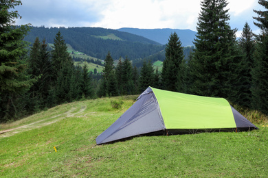 Image of Modern camping tent near beautiful conifer forest