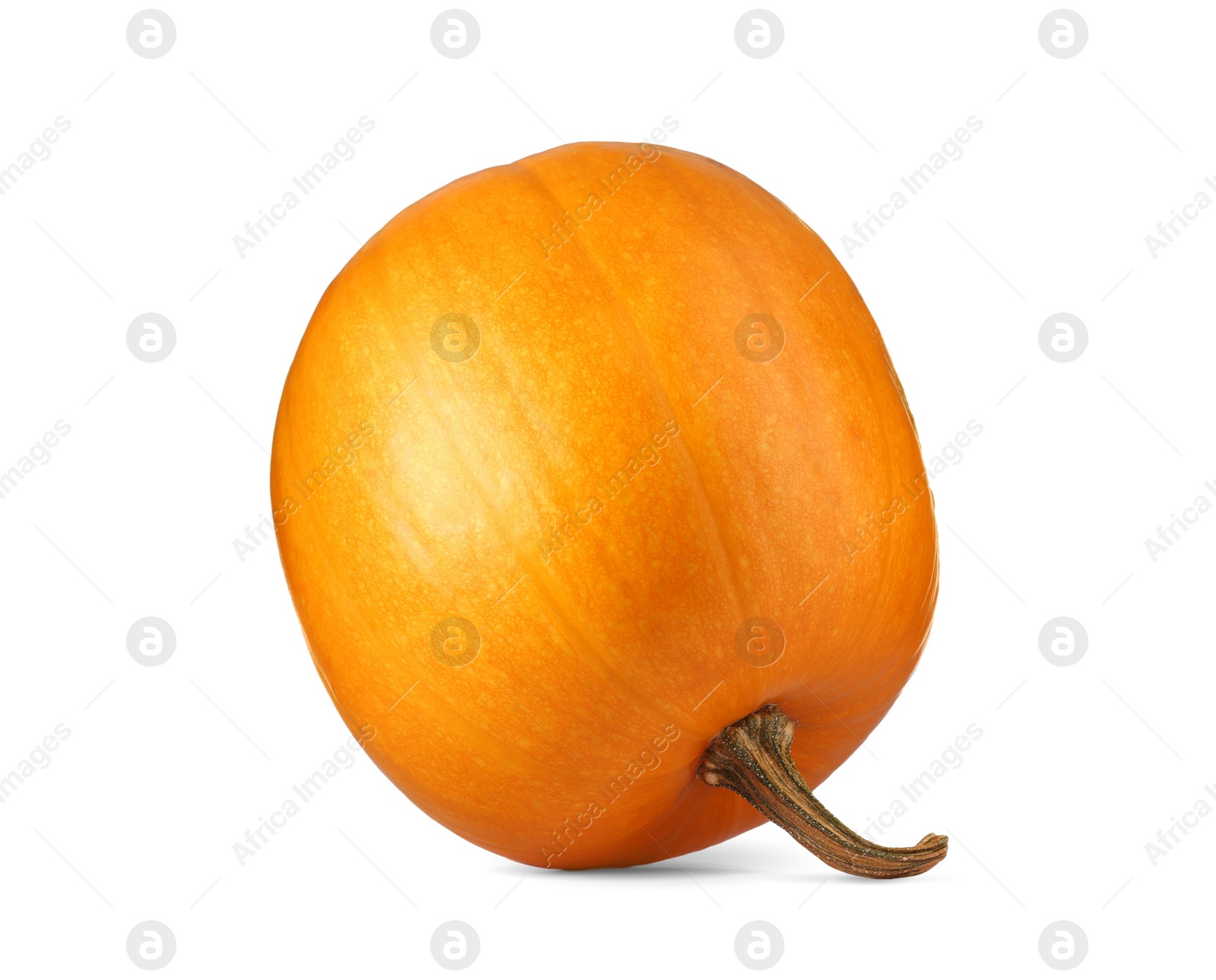 Photo of One fresh orange pumpkin isolated on white